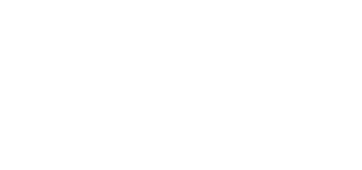 Universitatea Transilvania
